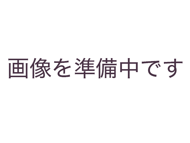 画像を準備中です